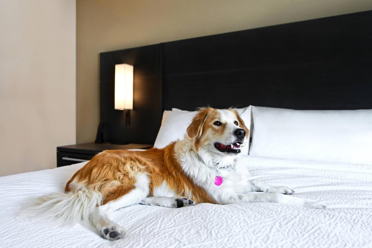 Hotel Residence Inn Steamboat Springs Steamboat Springs